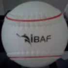 La imagen 2 de la Empresa TOLCA DEPORTES Deportes y Recreación en Mérida YUC