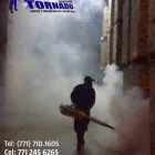 La imagen 1 de la Empresa TORNADO DESINFECCIÓN Y PREVENCIÓN DE PLAGAS Servicios Profesionales y de Negocios en Pachuca De Soto HID
