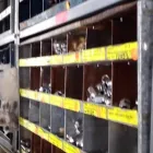 La imagen 9 de la Empresa TORNILLOS BIRLOS Y TUERCAS AUTOMOTRICES Industrias y Agricultura en Monterrey NLE