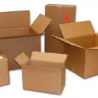 La imagen 1 de la Empresa TRANSPORTES UNIDOS DE TEPA SA DE CV Servicios Profesionales y de Negocios en Guadalajara JAL
