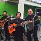 La imagen 1 de la Empresa TRIO LOS BRANDYS Grupos e Instrumentos Musicales en Tlalnepantla De Baz MEX