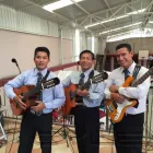 La imagen 3 de la Empresa TRIO LOS BRANDYS Grupos e Instrumentos Musicales en Tlalnepantla De Baz MEX