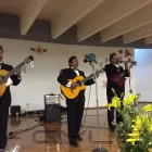 La imagen 5 de la Empresa TRIO LOS BRANDYS Grupos e Instrumentos Musicales en Tlalnepantla De Baz MEX