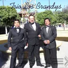 La imagen 6 de la Empresa TRIO LOS BRANDYS Grupos e Instrumentos Musicales en Tlalnepantla De Baz MEX