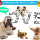 La imagen 1 de la Empresa UNIDAD VETERINARIA METROPOLITANA Tiendas de mascotas en Acapulco De Juárez GRO