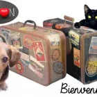 La imagen 2 de la Empresa UNIDAD VETERINARIA METROPOLITANA Tiendas de mascotas en Acapulco De Juárez GRO