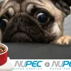 La imagen 4 de la Empresa UNIDAD VETERINARIA METROPOLITANA Tiendas de mascotas en Acapulco De Juárez GRO