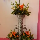La imagen 2 de la Empresa UP! ENVOLTURAS Y REGALOS en Ciudad Victoria TAM