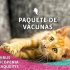 La imagen 2 de la Empresa VETERINARIA ZAMUDIO Tiendas de mascotas en Nuevo Laredo TAM