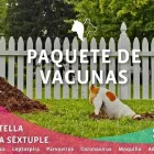 La imagen 3 de la Empresa VETERINARIA ZAMUDIO Tiendas de mascotas en Nuevo Laredo TAM