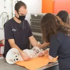La imagen 2 de la Empresa VETS MEDICAL CENTER Salud y Medicina en Puebla MEX
