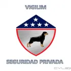 La imagen 1 de la Empresa VIGILIM Servicios Profesionales y de Negocios en Culiacán SIN