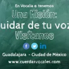 La imagen 4 de la Empresa VOCALIA ® OTORRINOLARINGÓLOGO GUADALAJARA - DR. GERARDO LÓPEZ GUERRA - Salud y Medicina en Guadalajara JAL
