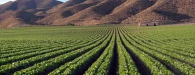 La imagen 3 de la Empresa AGROFERRETERA HIDRAULICA Trabajos en metal en Irapuato GUA