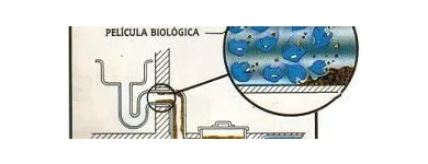La imagen 1 de la Empresa BIOTEC DE MEXICO-PRODUCTOS BIOLOGICOS PARA LIMPIEZA ( BACTERIAS Y ENZIMAS) Venta y Alquiler de Artículos de Hostelería en Nuevo Laredo TAM