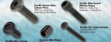 La imagen 11 de la Empresa BIRLOS Y TORNILLOS , S.A. DE C.V. BYTNSA Refacciones y Accesorios para Automóviles y Camiones en Monterrey NLE