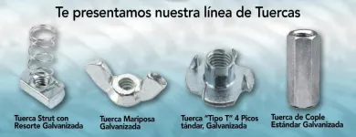 La imagen 15 de la Empresa BIRLOS Y TORNILLOS , S.A. DE C.V. BYTNSA Refacciones y Accesorios para Automóviles y Camiones en Monterrey NLE