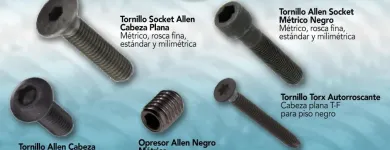 La imagen 17 de la Empresa BIRLOS Y TORNILLOS , S.A. DE C.V. BYTNSA Refacciones y Accesorios para Automóviles y Camiones en Monterrey NLE
