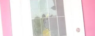 La imagen 18 de la Empresa CANCELVER Servicios Profesionales y de Negocios en Veracruz VER