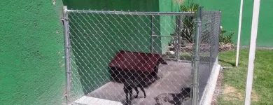 La imagen 16 de la Empresa CER_CAR DE TOLUCA Seguridad Industrial en San Mateo Otzacatipan MEX