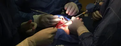 La imagen 3 de la Empresa CLÍNICA PRO DENTAL Salud y Medicina en Veracruz VER