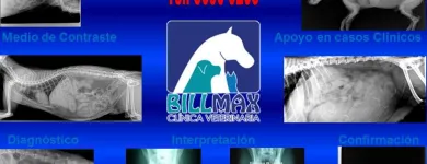 La imagen 9 de la Empresa CLÍNICA VETERINARIA BILLMAX Salud y Medicina en Ciudad De México CMX