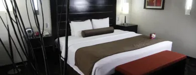 La imagen 5 de la Empresa CROWNE PLAZA TOLUCA-LANCASTER Transportes y Turismo en Metepec CMX