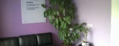 La imagen 3 de la Empresa DENTISTA en Cuautitlán Izcalli MEX