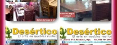 La imagen 15 de la Empresa DESERTICOS MUEBLES Servicios Profesionales y de Negocios en Pachuca De Soto HID
