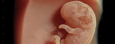 La imagen 3 de la Empresa DR. JOSE ANTONIO MÉNDEZ GONZÁLEZ Salud y Medicina en Querétaro QUE