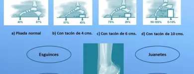La imagen 1 de la Empresa DR. JOSE DIONISIO CASTILLO ORTIZ Salud y Medicina en Guadalajara JAL