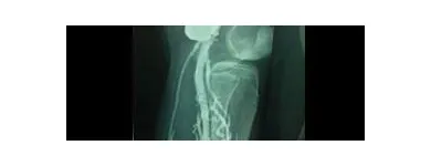 La imagen 1 de la Empresa DR. JUAN CARLOS MORALES URBINA Salud y Medicina en Mexico CMX