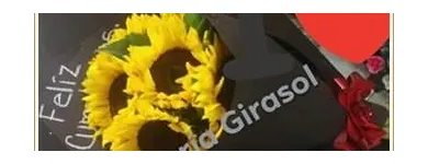La imagen 3 de la Empresa FLORERÍA GIRASOL Industrias y Agricultura en Monterrey NLE