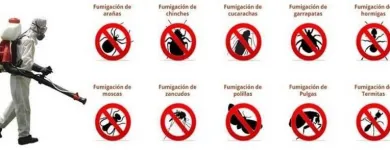 La imagen 2 de la Empresa FUMIGACIONES ACUÑA Servicios Profesionales y de Negocios en Ciudad Victoria TAM