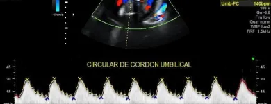 La imagen 16 de la Empresa GABINETE DE RADIOLOGIA Y ULTRASONIDO SAN CRISTOBAL Salud y Medicina en Mérida YUC