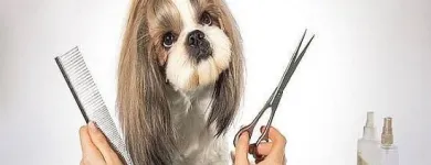 La imagen 2 de la Empresa GUPPIES AND PUPPIES Tiendas de mascotas en Soledad De Graciano Sánchez SLP
