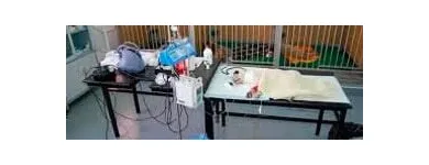 La imagen 3 de la Empresa HOSP VETERINARIO ESTÉTICA CANINA TREVIÑO Salud y Medicina en Reynosa TAM
