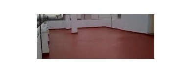 La imagen 4 de la Empresa IMPERMEABILIZACIÓN Y PINTURA GDL en Guadalajara JAL