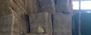 La imagen 2 de la Empresa LAMINAS SINALOA Materiales de Construcción en Culiacán SIN