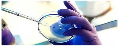 La imagen 2 de la Empresa LAPI LABORATORIO MÉDICO SUC. DEL VALLE Salud y Medicina en Mexico CMX