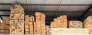 La imagen 1 de la Empresa MADERERÍA LA SELVA Servicios Profesionales y de Negocios en Tampico TAM