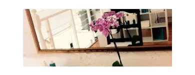La imagen 7 de la Empresa MAKEUP VALLARTA Productos y Servicios de Cuidado Personal en Puerto Vallarta JAL