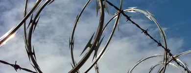 La imagen 3 de la Empresa MALLACENTRO Industrias y Agricultura en Toluca De Lerdo MEX