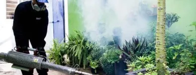 La imagen 2 de la Empresa MAXIMO CONTROL DE PLAGAS Servicios Profesionales y de Negocios en Veracruz VER