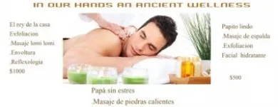 La imagen 24 de la Empresa MAYA SPA MERIDA Transportes y Turismo en Mérida YUC