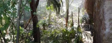 La imagen 2 de la Empresa METTEY & ASOCIADOS Sistemas y Equipos de Riego en Puebla MEX