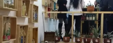 La imagen 1 de la Empresa MEZCALIA Fabricantes y distribuidores de cerveza, vino y licores en Ciudad De México CMX