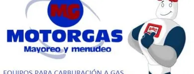 La imagen 3 de la Empresa MOTORGAS Refacciones y Accesorios para Automóviles y Camiones en Puebla MEX