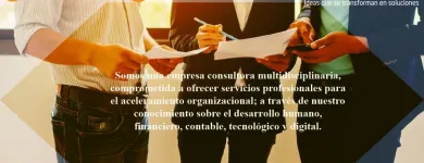 La imagen 1 de la Empresa PER SE SYSTEM Servicios Profesionales y de Negocios en Mérida YUC