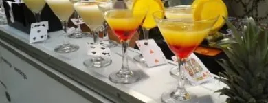 La imagen 8 de la Empresa PLANNERS en Guadalajara JAL
